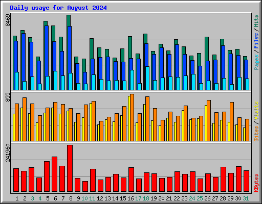 Daily usage for August 2024