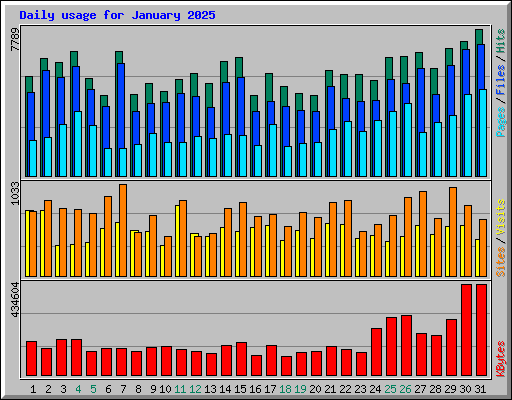 Daily usage for January 2025