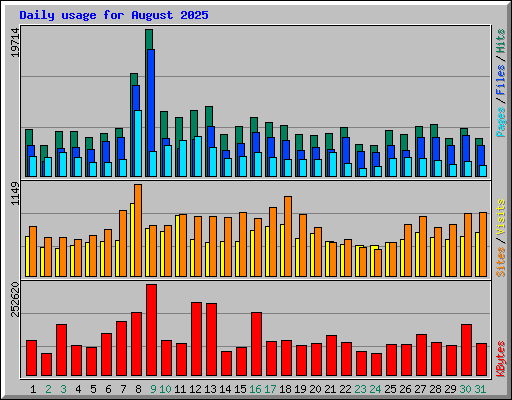 Daily usage for August 2025