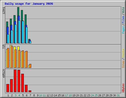 Daily usage for January 2026