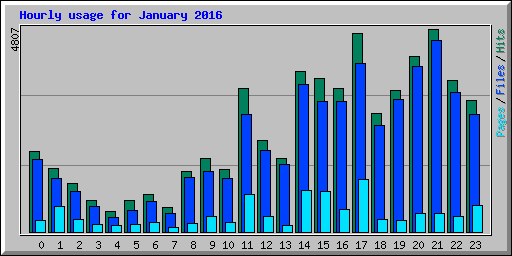 Hourly usage for January 2016