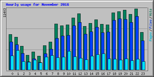 Hourly usage for November 2016