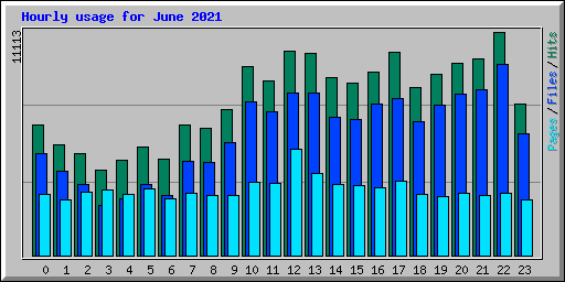 Hourly usage for June 2021