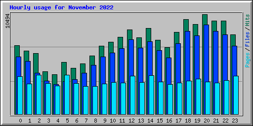 Hourly usage for November 2022
