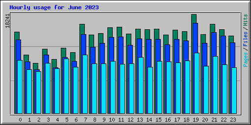 Hourly usage for June 2023