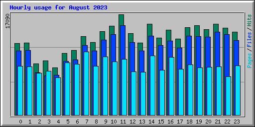 Hourly usage for August 2023
