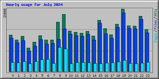 Hourly usage for July 2024