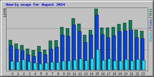 Hourly usage for August 2024
