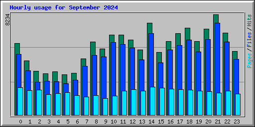 Hourly usage for September 2024
