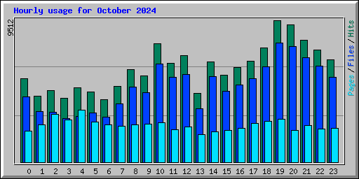 Hourly usage for October 2024