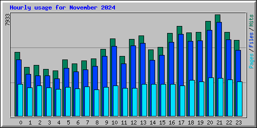 Hourly usage for November 2024