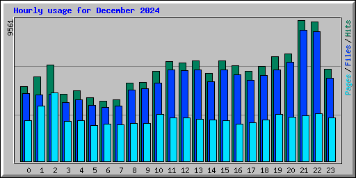 Hourly usage for December 2024