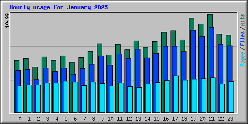 Hourly usage for January 2025
