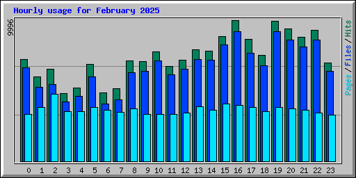 Hourly usage for February 2025