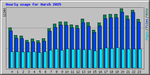 Hourly usage for March 2025