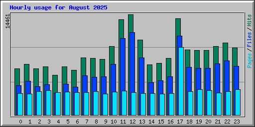Hourly usage for August 2025