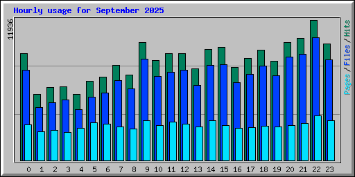 Hourly usage for September 2025