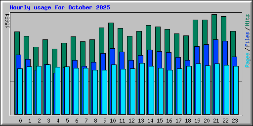 Hourly usage for October 2025