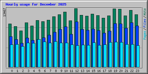 Hourly usage for December 2025
