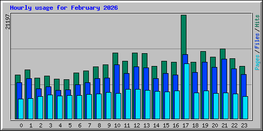 Hourly usage for February 2026