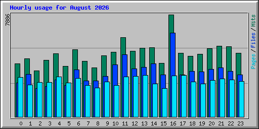 Hourly usage for August 2026